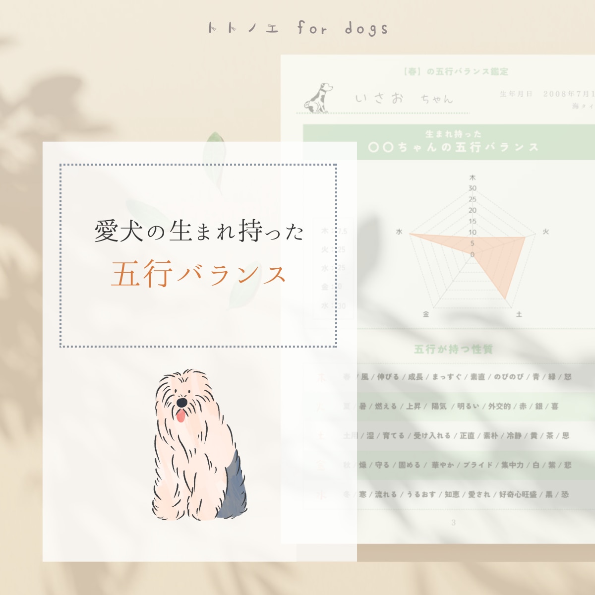春のエネルギーと愛犬の生まれ持つ五行をひも解きます 愛犬に寄り添ったケアを取り入れて、暖かく幸せに包まれた春に イメージ2