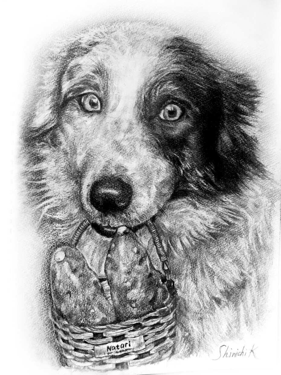 動物・写真から感動の一枚を制作します 「大切な家族の“今”を一枚の絵に」 イメージ7