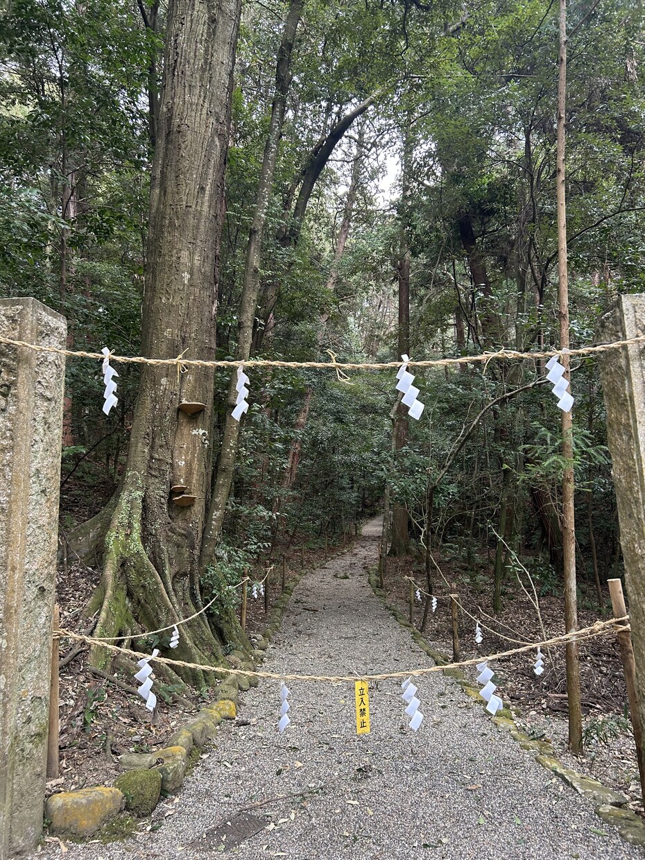 霊視&カードで【恋愛】【複雑愛】【復縁】視ます お気軽にご相談下さいませ(鑑定後に遠隔ヒーリング付き) イメージ3