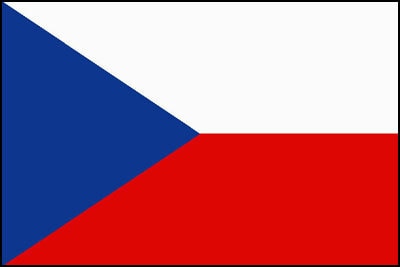 チェコ語⇔日本語、ロシア語⇔日本語　翻訳します チェコ在住18年（通訳・翻訳経験）、ロシア留学経験あり イメージ1