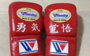 ボクシングのアドバイスをします 28歳から10ヶ月でプロとなった経験を活かし疑問に答えます イメージ3