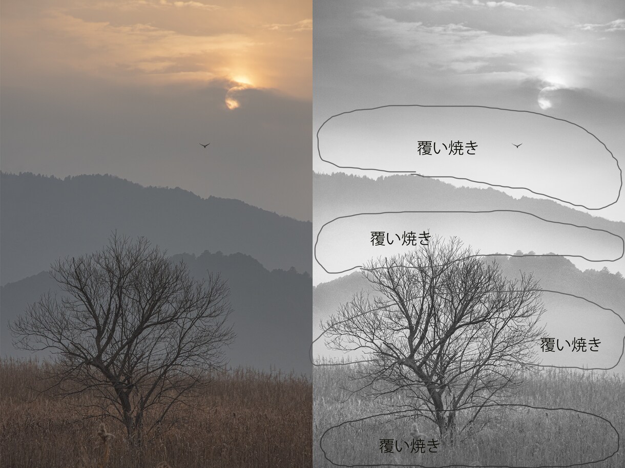 写真を表情豊かなモノクロ写真に仕上げます 【フィルム時代のように】焼き込みや覆い焼きで表情豊かな作品へ イメージ4