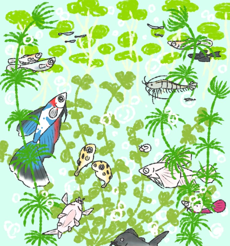ゆるかわᗦ↞◃生き物イラスト描きます SNSアイコンや観賞用に！(˙˘˙ ﾐэ)Э イメージ1