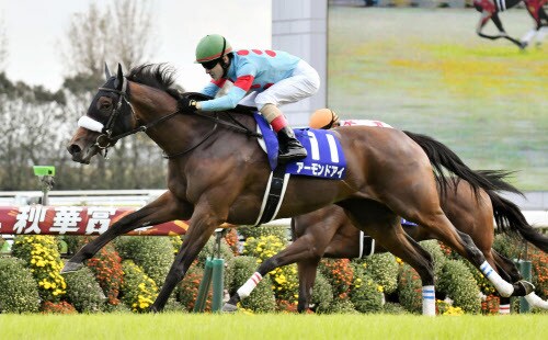 競馬！重賞予想教えます 桜花賞〜オークスG1連続的中！！より的中する予想を提供！ イメージ1