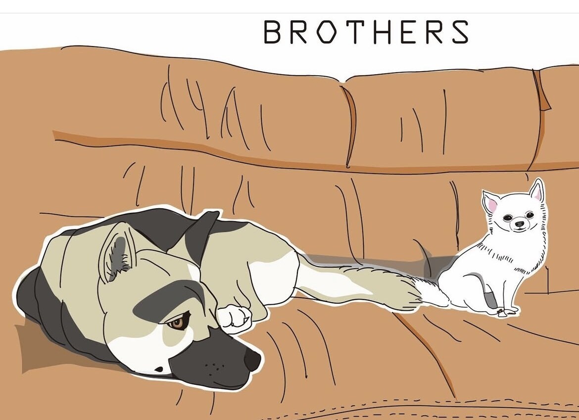 動物、人物、ペットの似顔絵作成します リアルで温かみのあるイラストを☆ イメージ4