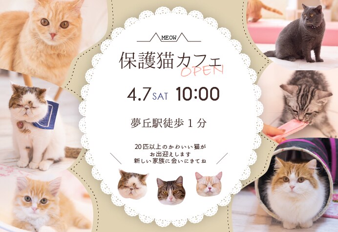 バナー広告・YouTubeサムネイル制作承ります 【最短納期1週間～】SNS向け広告などの作成 イメージ4