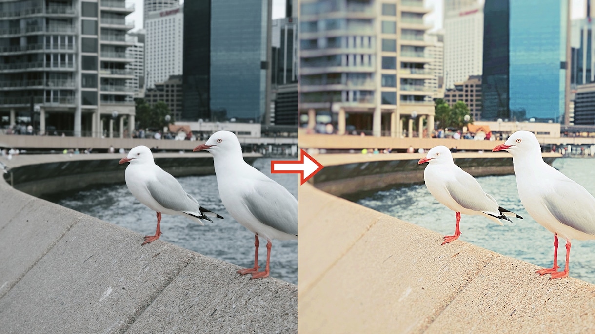 写真の切抜きや背景透過、色味の修正を行います 低価格でササっと仕上げたい方へ！各種ご要望承ります！ イメージ2