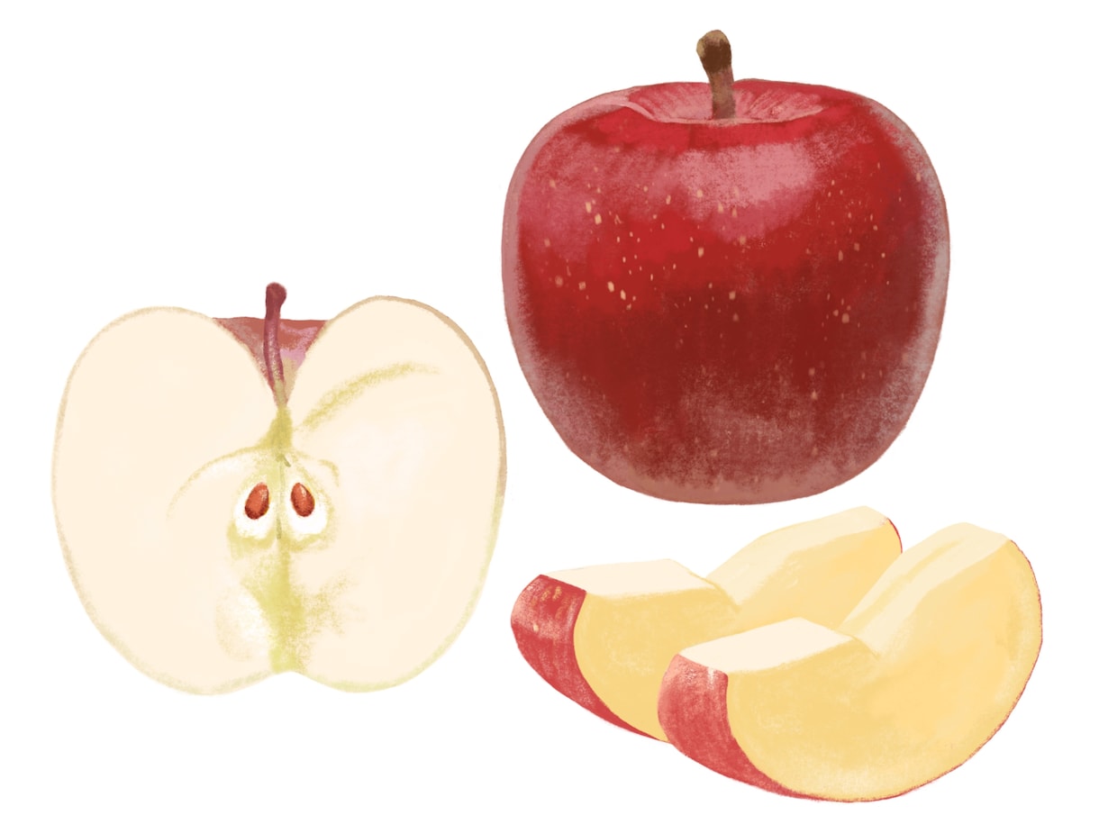 新鮮な野菜果物イラスト｜温かいタッチで制作します レシピ本・メニュー・パッケージ用食品イラストを制作します イメージ8