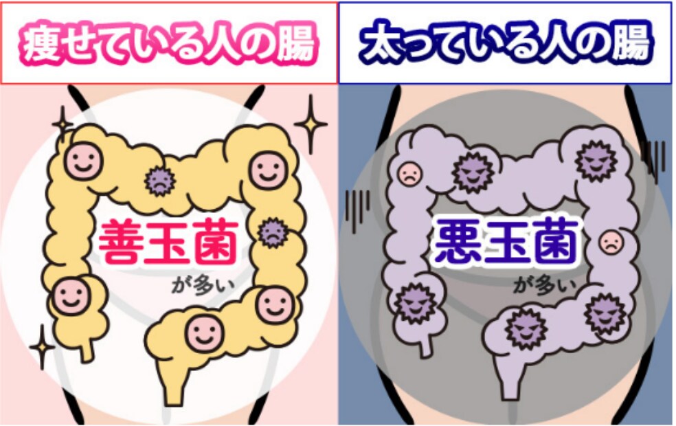 インスタで運用する広告記事を制作します 美容・ダイエット系が得意！執筆から画像まで制作可能です。 イメージ4