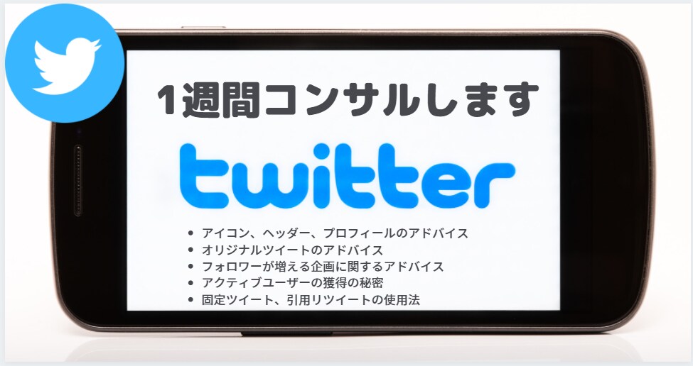 1週間Twitterコンサルします Twitterの運用・集客方法に困っている方へ全力サポート イメージ1