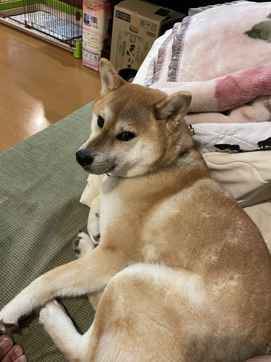 何でも聞きます！！ます 何でも聞きます。愚痴でも、悩みでも呟いてみませんか？？ イメージ1