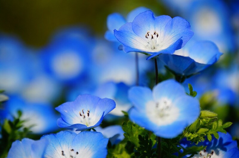 資格有プロ♥誰にも言えない心と性の悩み解決します 誰にも言えない悩み、明日が見えなくなるほど苦しいあなたへ イメージ3