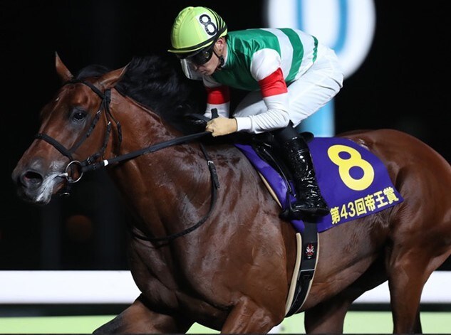 南関競馬！枠複4点で当たる喜びを味わえます データも予想も知識も不要！お堅く稼ぐ競馬投資術 イメージ1