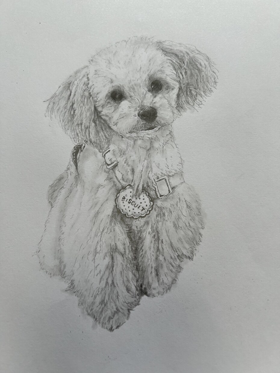 犬や猫の絵を描きます 画像からえんぴつや顔彩で絵を描きます。 イメージ6
