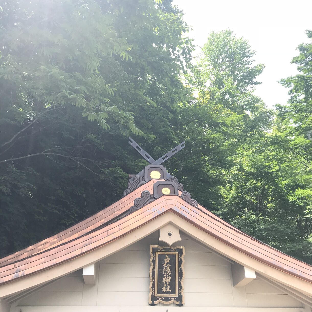 覚醒するパワースポット！戸隠神社に代理祈願します 開催未定☆道開き、縁結び、子授け、安産、学問 イメージ3