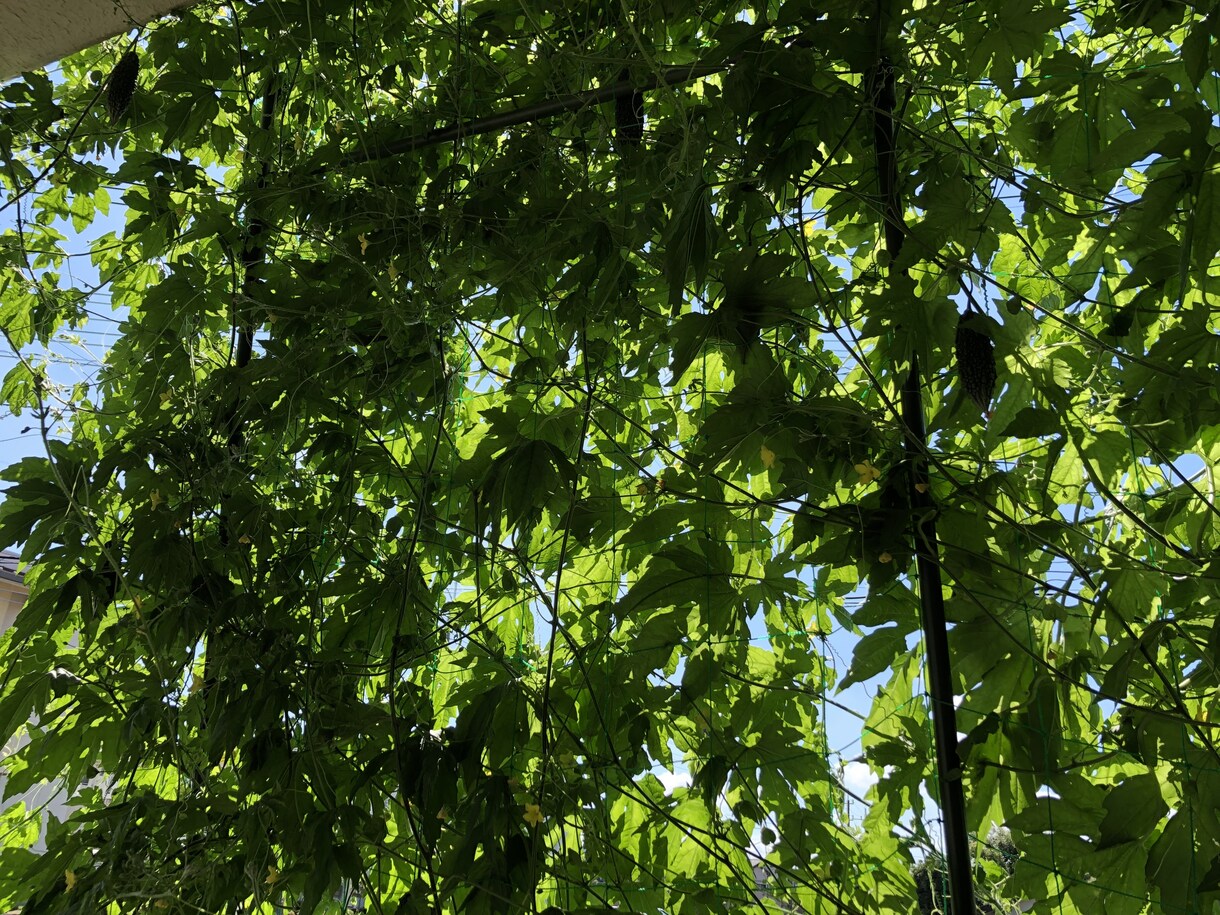 お話を聞きます ため込んでも辛いだけですから吐き出してみてください。 イメージ1
