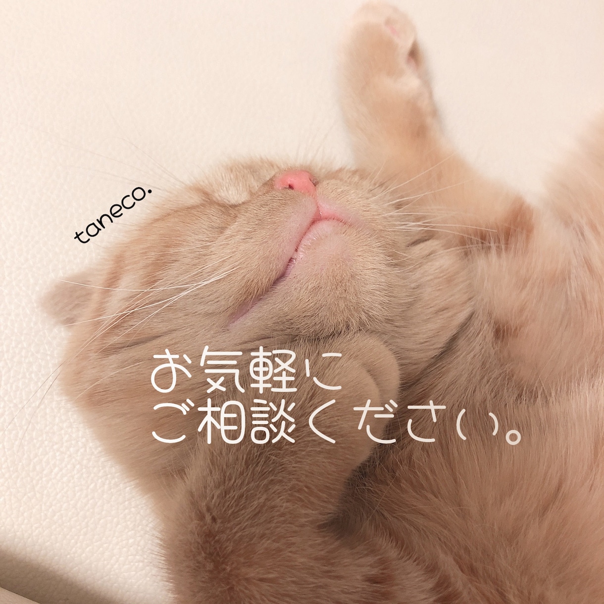 ワンコイン☆3枚のカードで占います 過去・現在・未来の時系列を追って、原因と結果を占います。 イメージ1