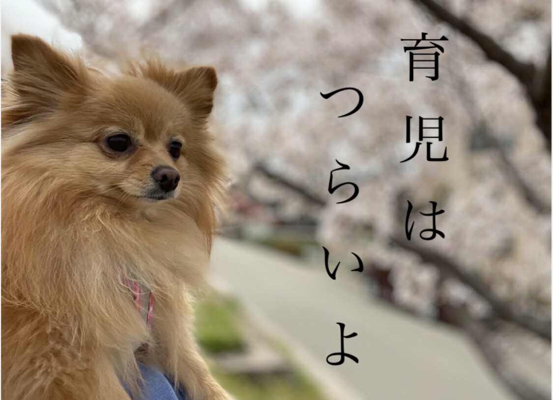 ペットやお子様の写真でLINEスタンプお作りします お気に入りのお写真からスタンプをお作りします！ イメージ5