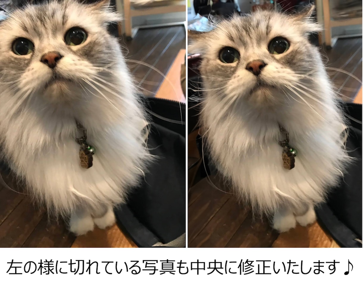 商品の着衣写真や美化をレタッチのプロがご提案します モデルに着せたい平置きにしたい背景を変更したいを解決します！ イメージ4