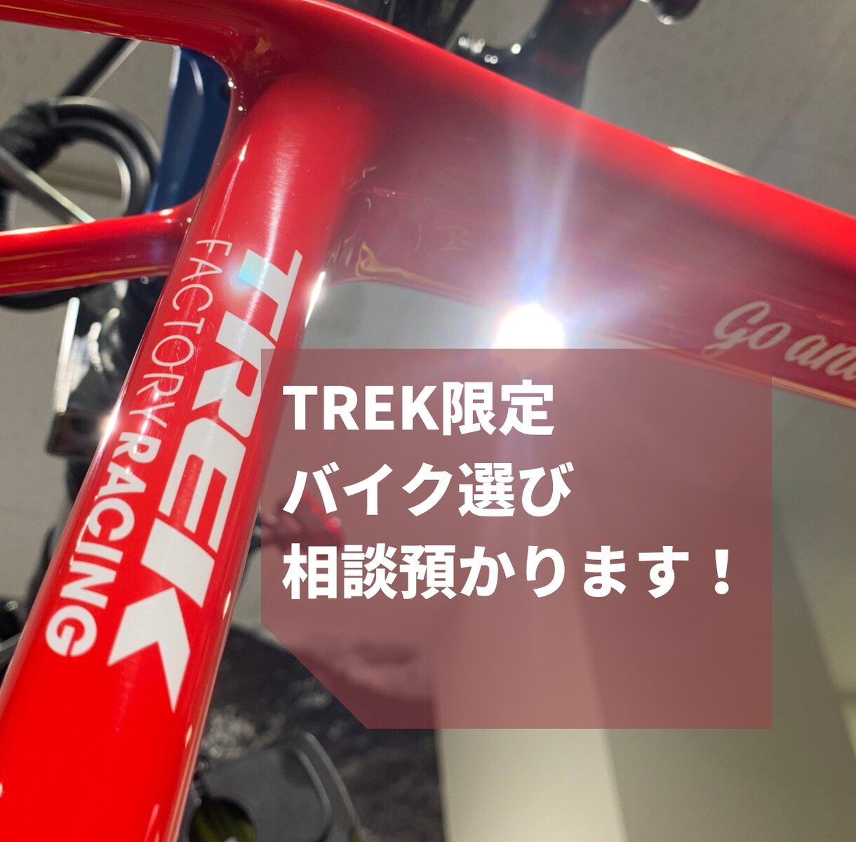 TREKの中からベストな自転車選びます 現役ショップスタッフが最新情報を踏まえてお手伝い！ イメージ1