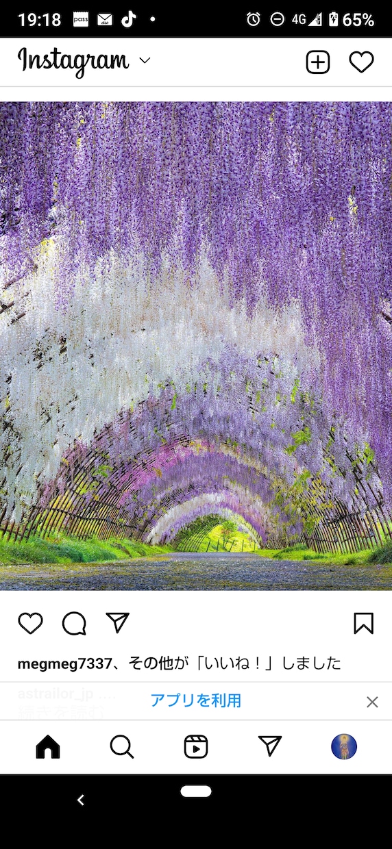 あなたはひとりではありません。私がいます あなたの守護存在の愛あるお言葉をお伝えいたします。 イメージ1