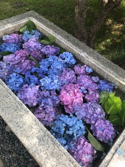 話す＝放す✨秘密厳守であなたの声に耳を傾けます ⭐話すことで自分自身を解放して癒しませんか？⭐ イメージ3
