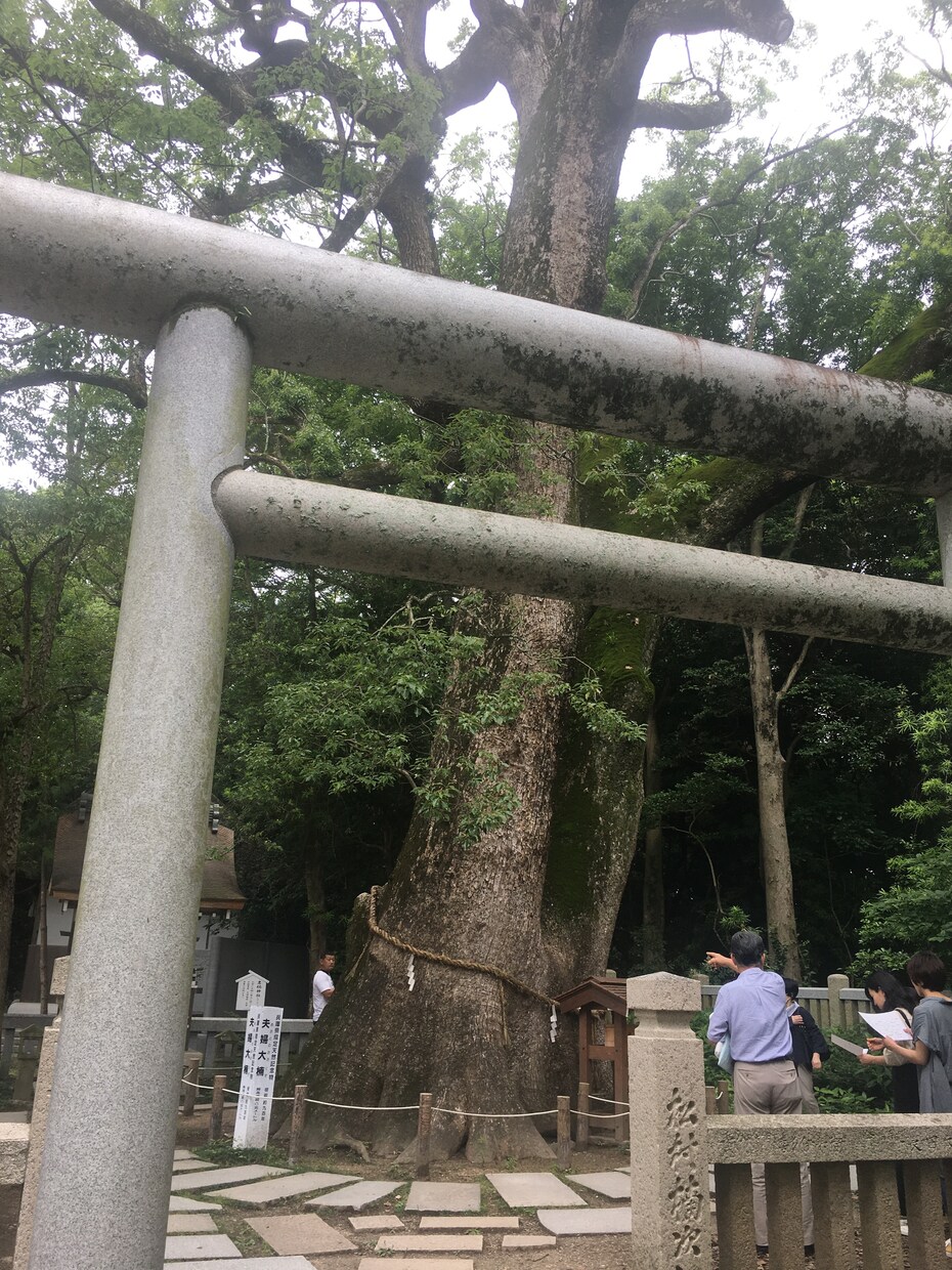 あなただけの強みをお伝えします カバラ数秘術と言霊数秘術であなただけの取り扱い説明書 イメージ1