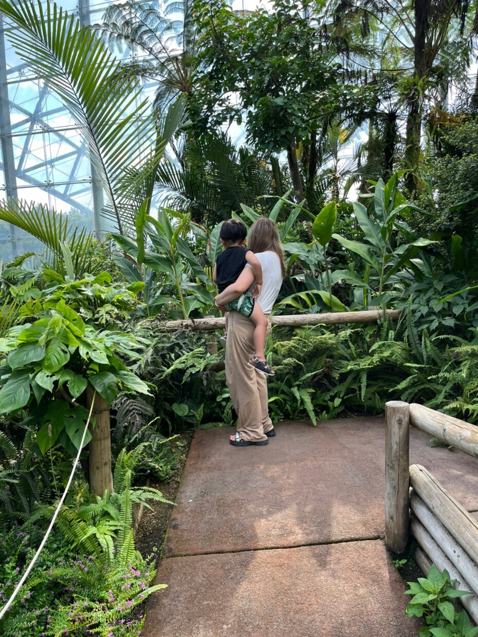 旅行のプランニング致します ご相談者様のご要望をお聞きし、プランニング致します‪♩ イメージ1