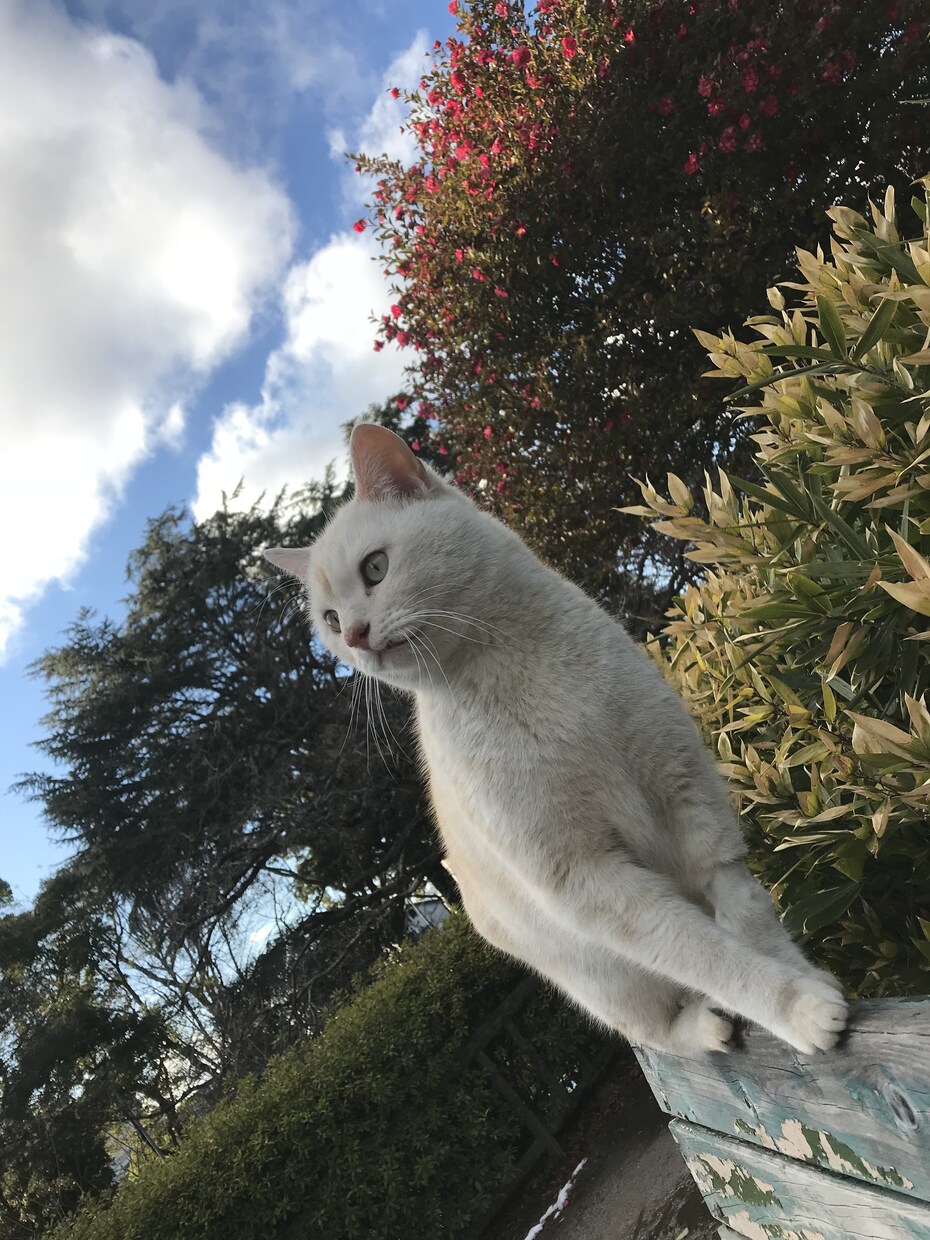 即日！しっかりカウンセリングの後タロットで占います 漠然とした悩みを抱えてる方へ。 イメージ1