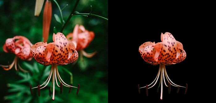 写真や画像の背景を透過します 背景を透過して人や物を切り抜きできます。 イメージ5