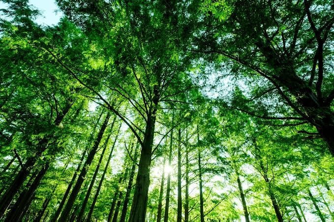 様々な状況や感情・ネガティブ要素の波動修正をします ネガティブ要素のブロックを解除して癒しのエネルギーを送ります イメージ1