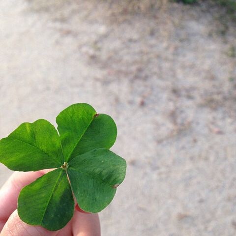 寂しい時、悩んでる時、寝れない時お話相手になります 頑張ってる全ての人に力になれたら嬉しいです イメージ1