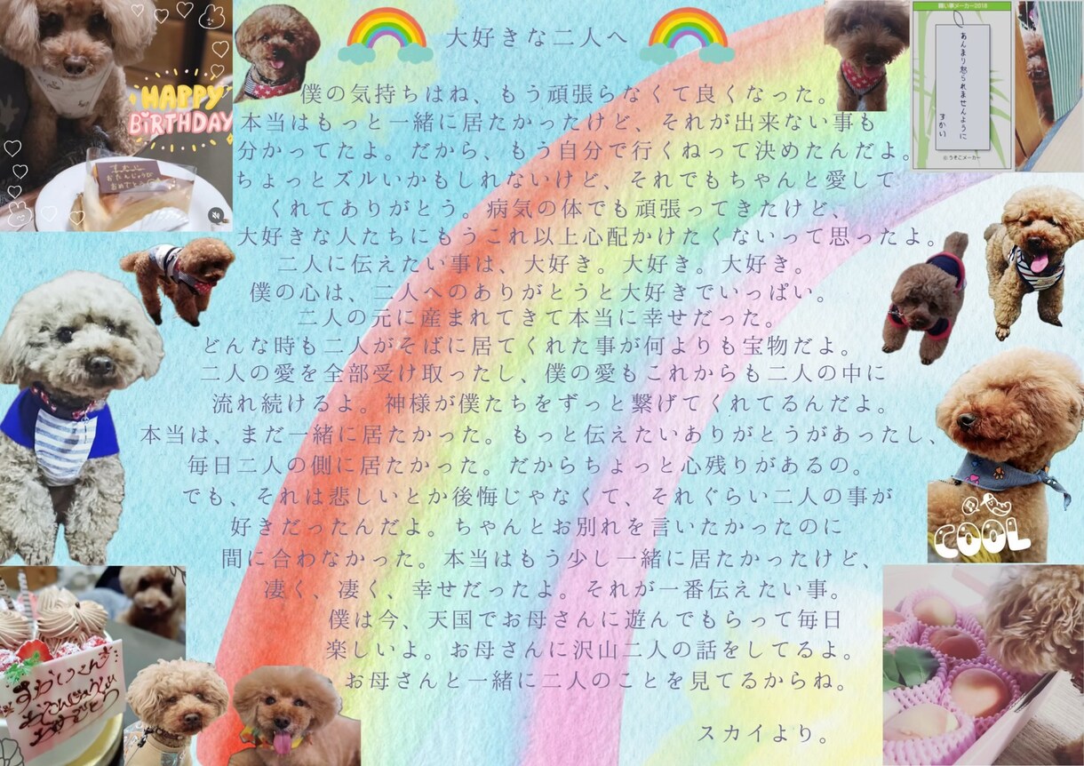 天国のペットからお手紙を届けます 今、あの子が何を感じているのかを、潜在意識から届けます。 イメージ2