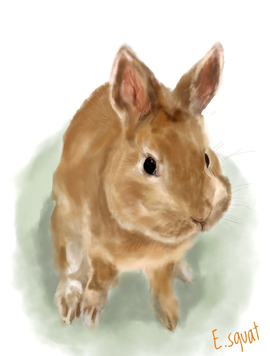 ペットちゃんのイラストを制作します お家の壁にもワン・ニャン・ピョン イメージ3