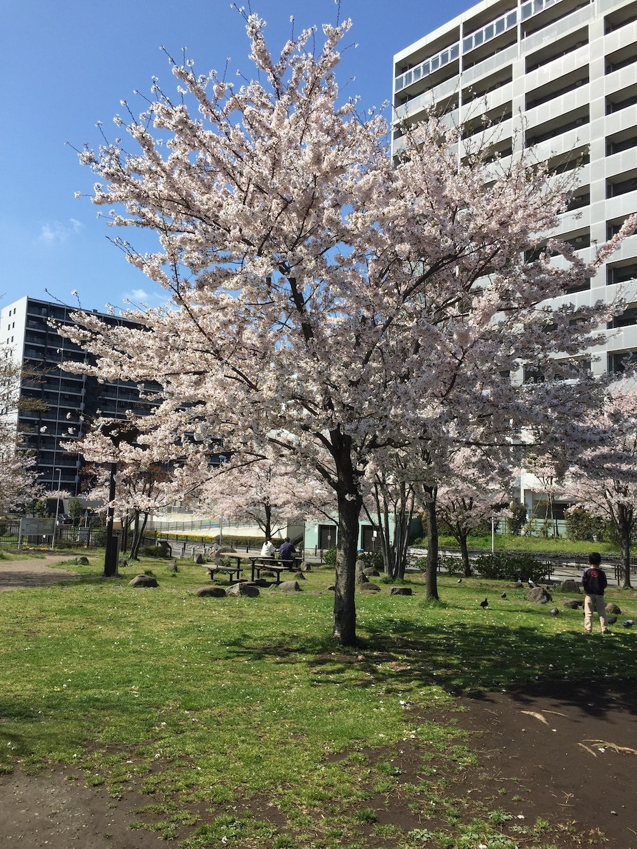 時々でいいから話を聞いて子育て中ママの話をきます ママだけが疲れてるｖ（＾＿＾ｖ）♪ イメージ1