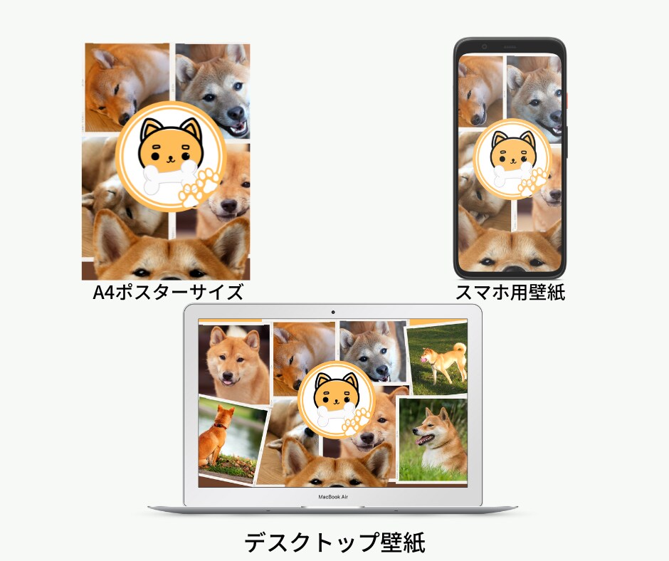 自分を褒め慣れるまで柴犬が全身全霊で褒められます ほめよ、たたえよ、柴犬を！褒めトレーナー「ほめシバ」 イメージ8