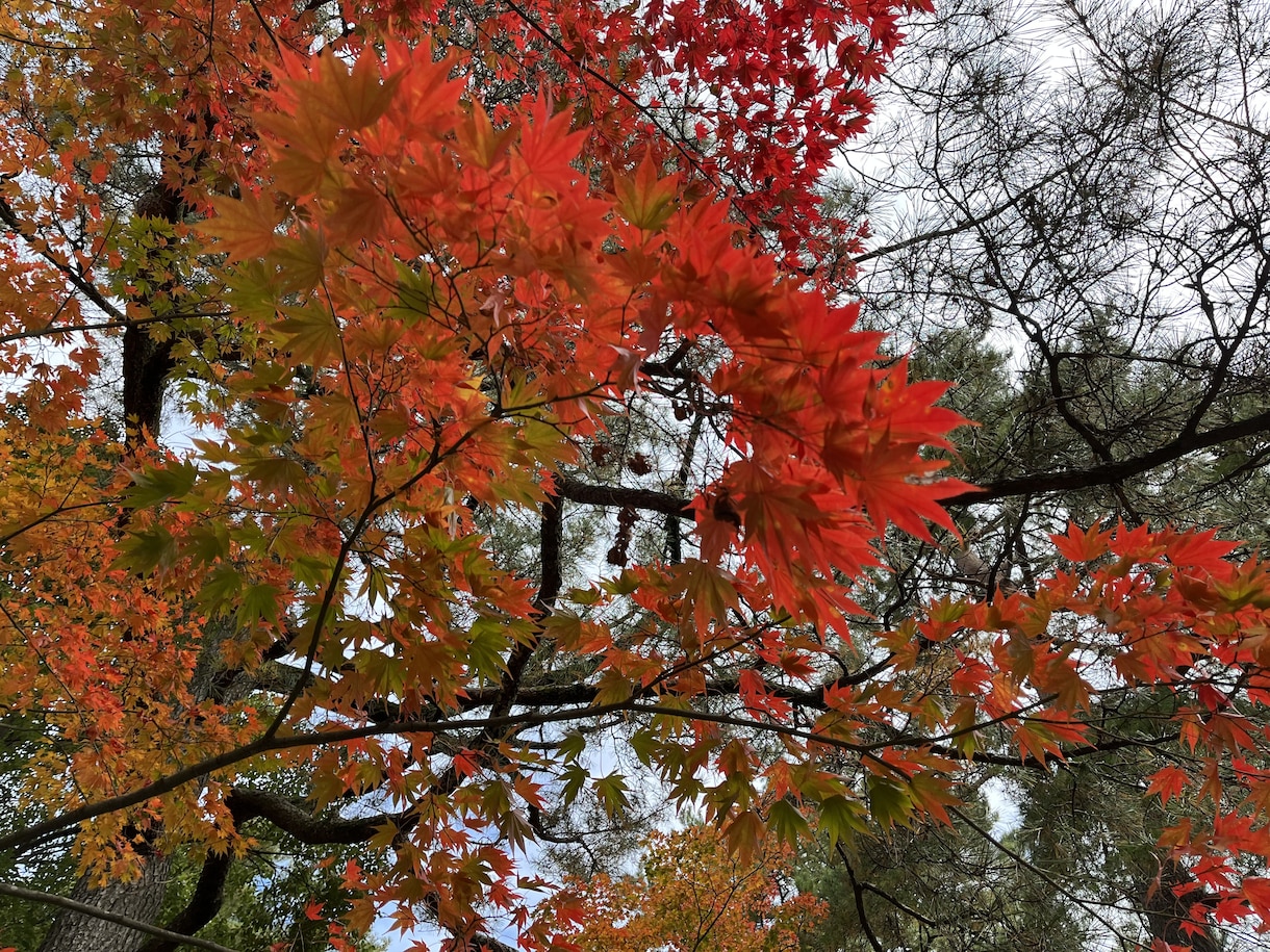 旅行先で撮影した画像を提供します 思い出の写真を集めてみました！ イメージ4