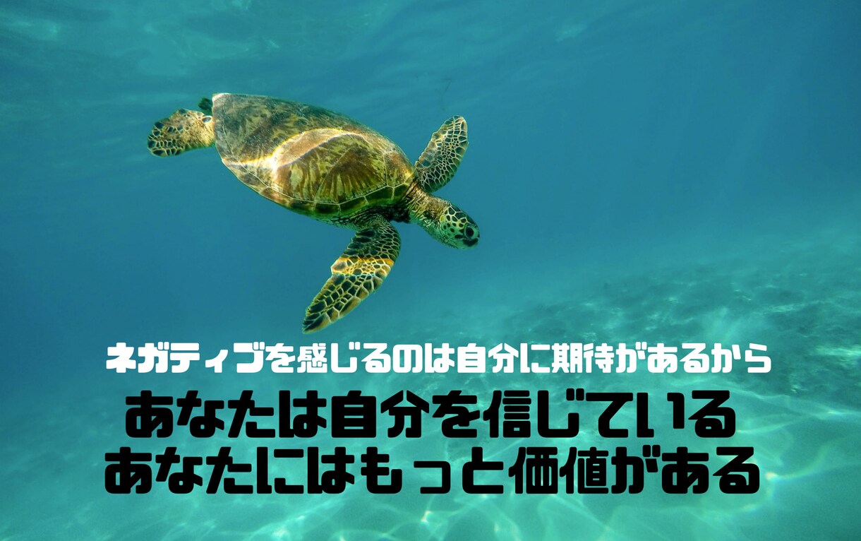 元いのちの電話相談員があなたに寄り添います 話せないそのお悩み　安心安全の場で声にしてみませんか？ イメージ4