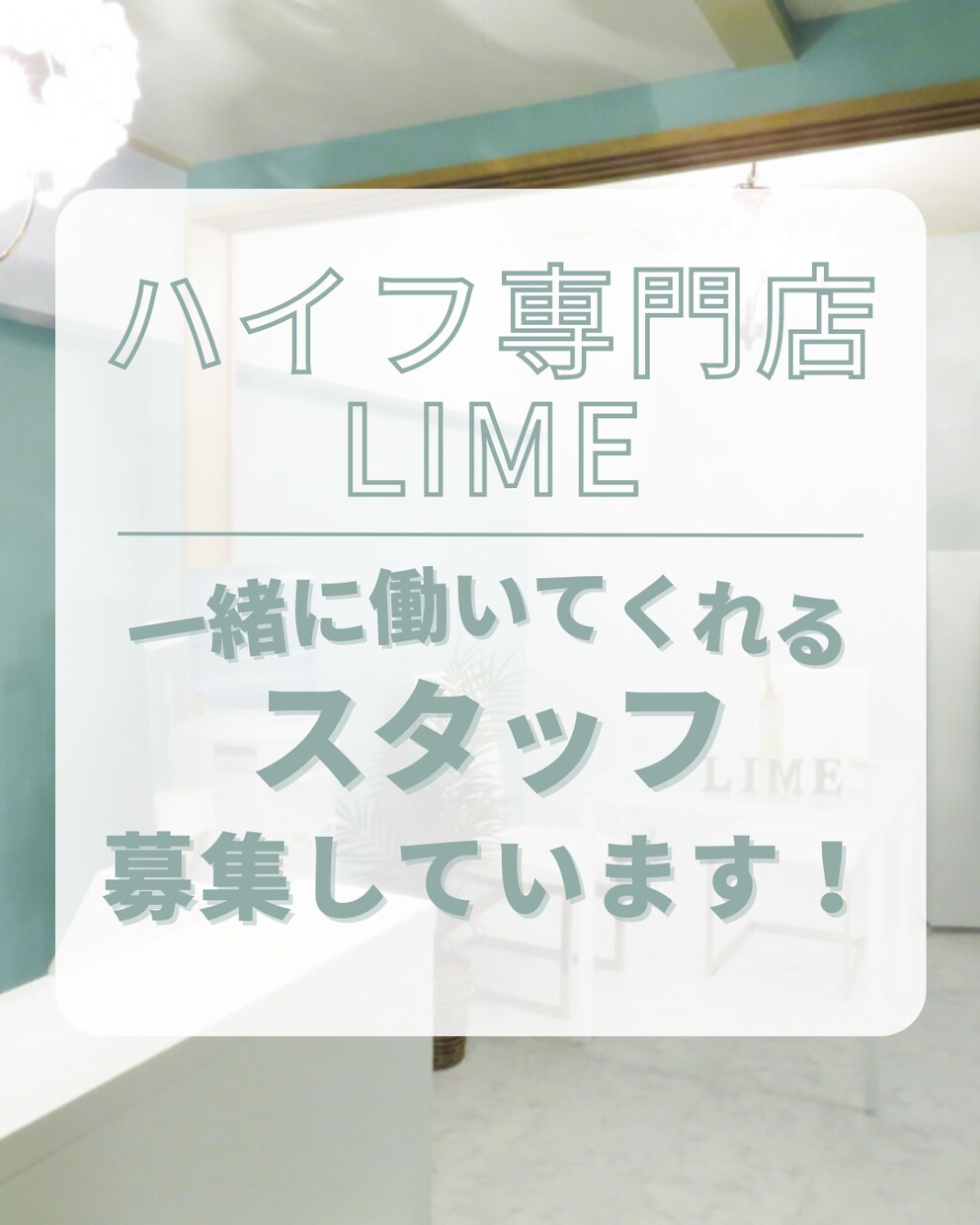 プロデザイナーが3名様限定価格でチラシ作ります チラシ、パンフレット、会社案内、DM、ポスターなど対応可能！ イメージ5
