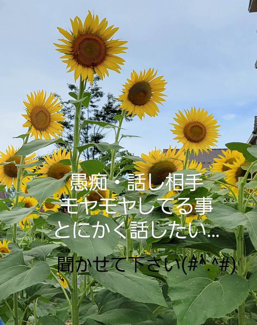 ねぇ聞いてぇ、繋がりたい、色々聞きます 職場の愚痴、周りに話せなくて1人で抱え込んでいる方☆ イメージ1