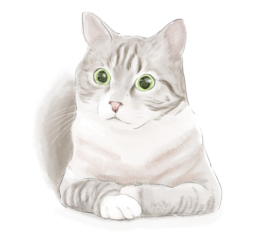 ペット・動物の水彩風イラストを描きます ペットのお写真をほんわかした水彩風のデジタルイラストに イメージ1