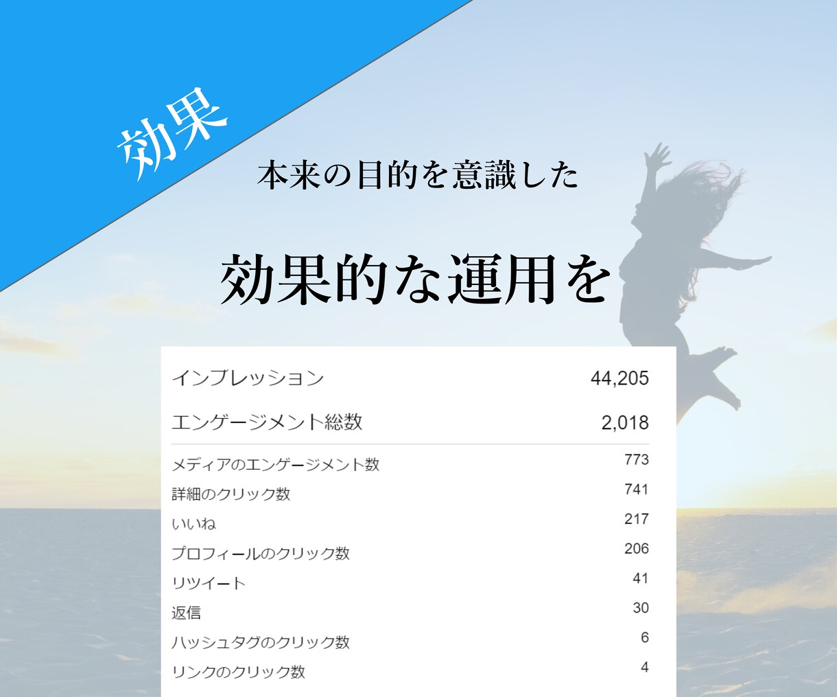 Twitterの『分析』を代行いたします 『データに基づくTwitter分析』でサポートいたします。 イメージ6