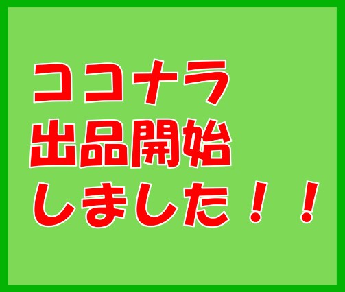 ノウハウコレクター脱出！初心者も出来る副業教えます 資金不要！スマホひとつで出来る♪とことん私がサポートします イメージ4