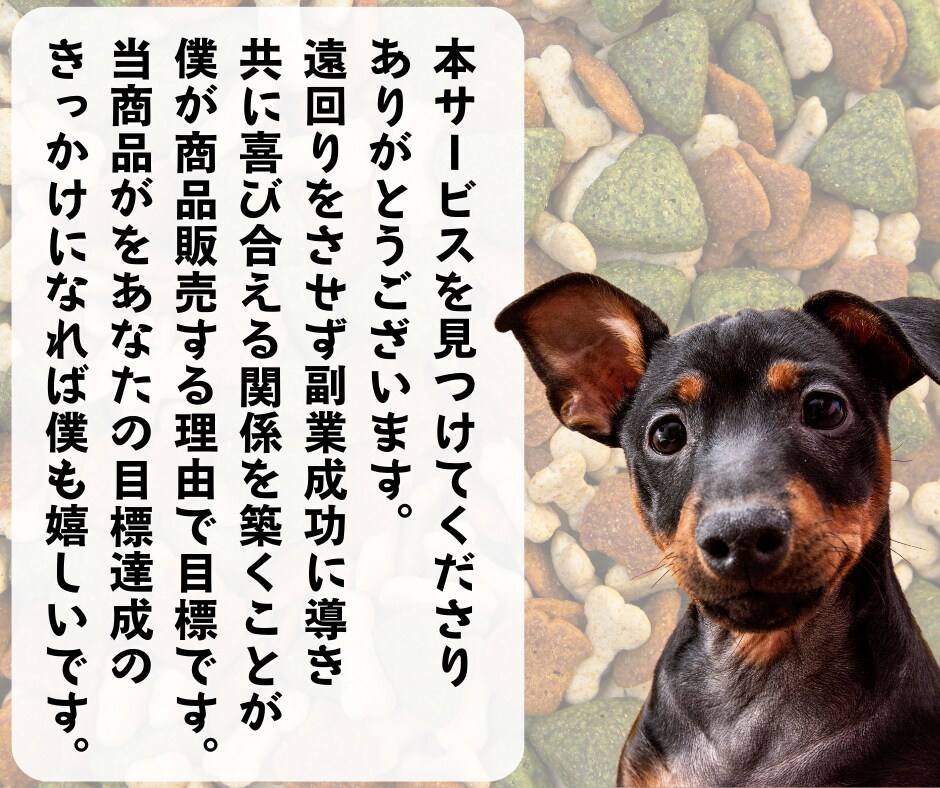 なかなか結果が出ない初心者を救うAI副業教えます ChatGPTを活用し時間が無くでもサクッとできるスキマ副業 イメージ10