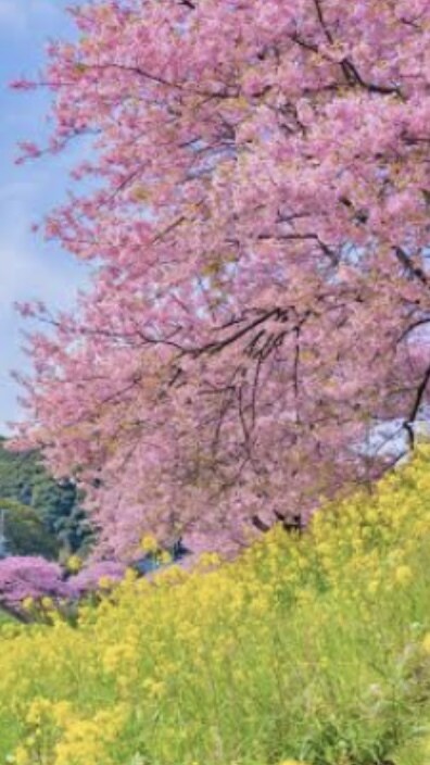 心の闇を吐き出しスッキリ！三児の父が受け止めます どんな話でもOK！私はあなた様の味方です！ イメージ6