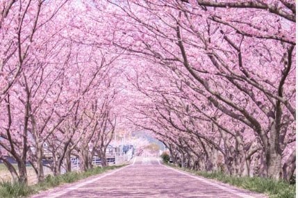 1分でも♡挨拶のみ10秒でも♡ちょこっ～と聞きます オールOK/疲れた/落ち込み/愚痴/自慢/孤独/秘密話/恋愛 イメージ10