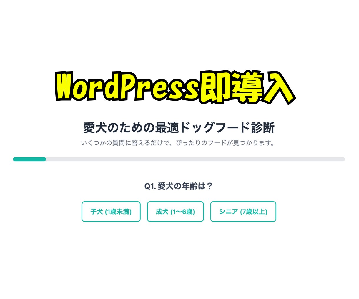 WordPress対応｜診断ツールを制作します 読者の『選ぶ不安』を解消する１問1答形式の診断ツール イメージ4