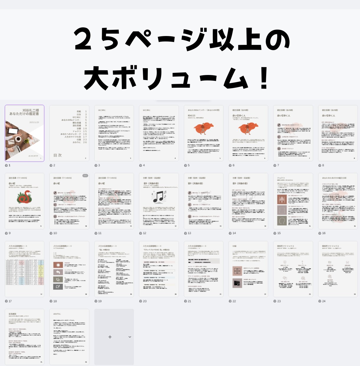 あなたの適性、才能、生き方、徹底分析します 生きづらさを感じるのは、能力不足じゃありません イメージ2