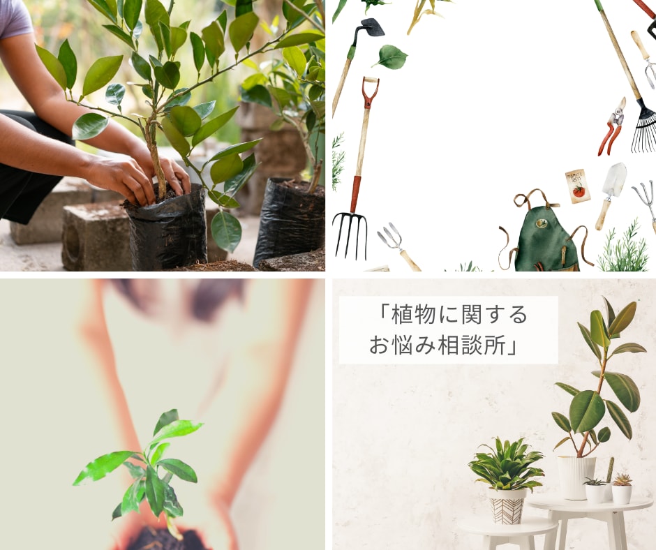 差がつく贈りものでお相手と地球の笑顔が増えます 自然栽培歴10年で培った知恵と副産物をお福わけさせてください イメージ1