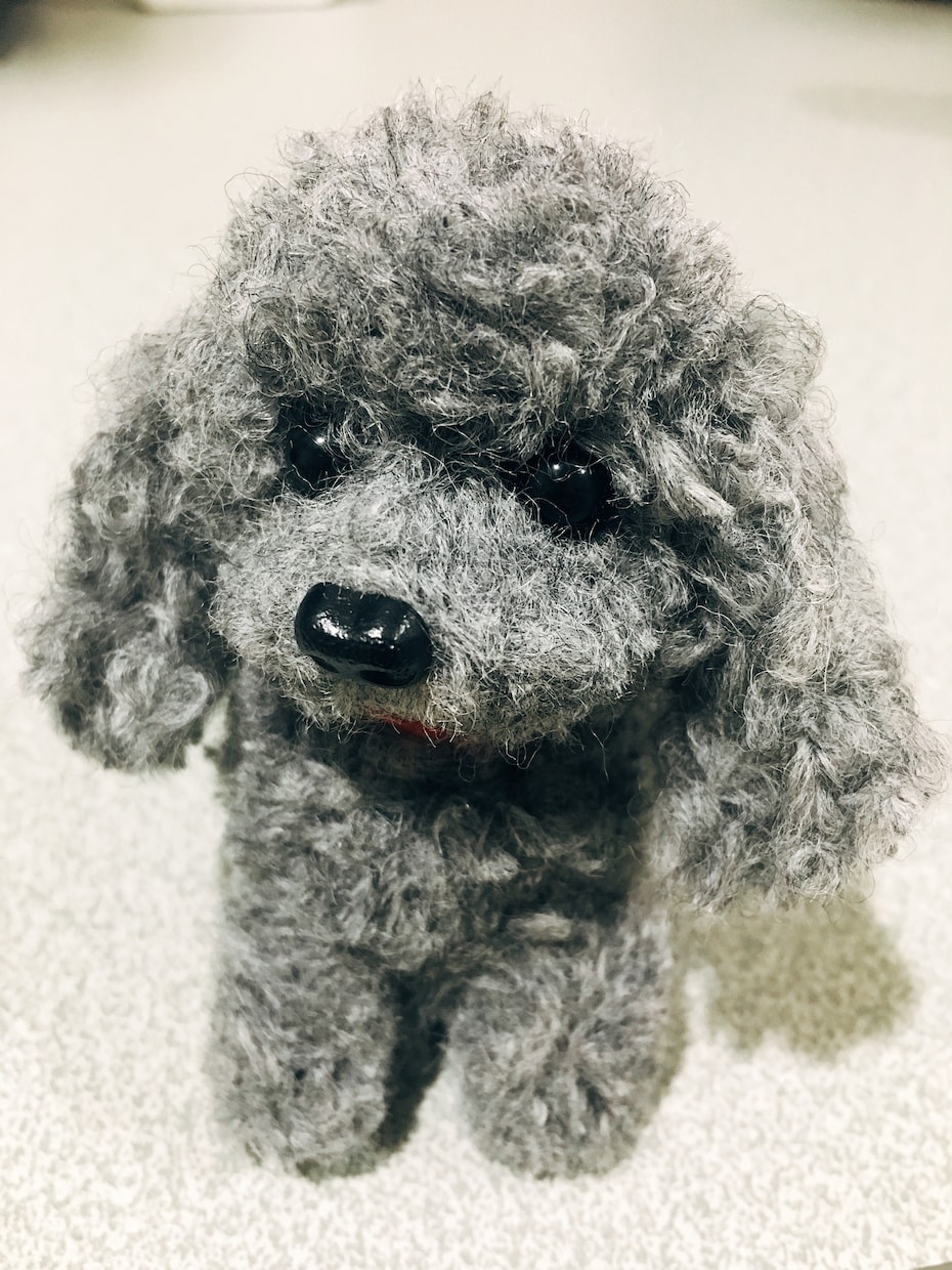 動物ぽんぽん作製します あなたの大切な家族であるペットの動物ぽんぽん☆ イメージ4